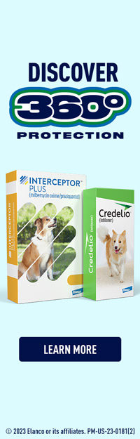 ad1_200x625_backupImg