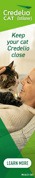 ad2_120x600_backupImg