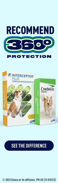 ad2_200x625_backupImg