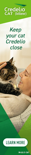 ad3_120x600_backupImg